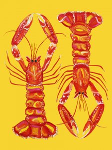Vibrant Lobster Pair by Alice Straker