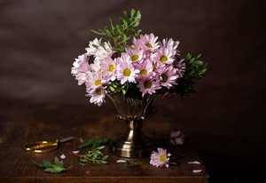 Pink Flowers Still Life by Alina Lankina