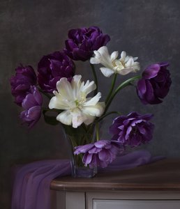 Purple White Tulip Bouquet by Alina Lankina