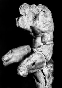 The Belvedere Torso by Apollonios of Nestor, c.1890 by Fratelli Alinari