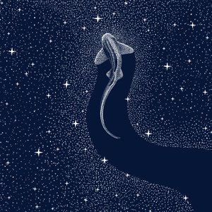 Cosmic Shark by Alirıza ÇAKIR