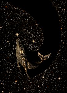 Cosmic Whale Dream by Alirıza ÇAKIR