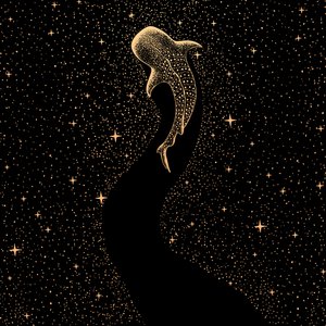 Cosmic Whale Shark by Alirıza ÇAKIR