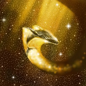Golden Cosmic Whale by Alirıza ÇAKIR