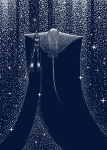 Starlit Ray Companion by Alirıza ÇAKIR