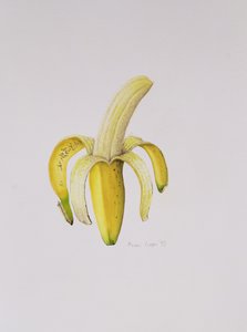 A Half-peeled Banana, 1997 by Alison Cooper