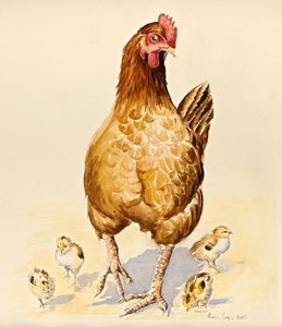 George