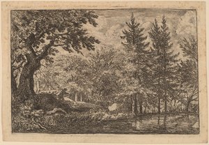 Fir Trees at the Water by Allart van Everdingen