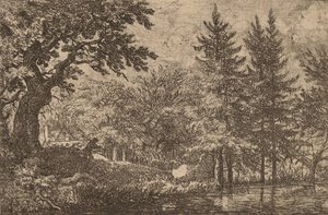 Fir Trees at the Water, probably c. 1645-1656 by Allart van Everdingen