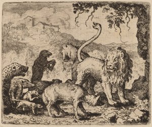 Reynard Accused