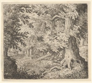 The Brook in the Wood, 17th century by Allart van Everdingen