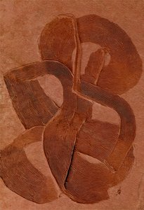 Earthy Textured Curves by Alma