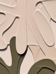 Organic Layered Forms