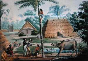 View of the Surroundings of Coupang, Timor, from 