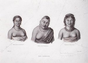 Wives of the Hawaiian Chiefs from the Sandwich Islands, c.1824 by Alphonse (after) Pellion