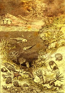 Prehistory-End of the Silurian Period: Natural Creation and Living Beings (J. Rengade) Drawing by A. Demarle 1885 by Alphonse Demarle