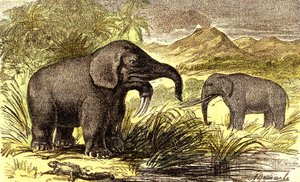 Prehistory-Miocene Period: From right to left: the Dinotherum and the Mastodonte
