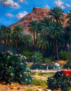 Oasis