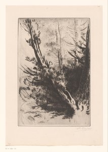 Trees by Alphonse Legros (signed by artist)