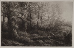 A Woodland Study by Alphonse Legros