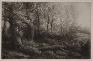 A Woodland Study by Alphonse Legros