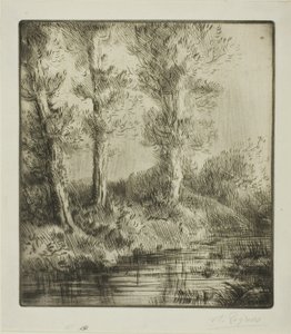 Banks of the Saint-Pré