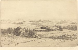 Banks of the Yanne