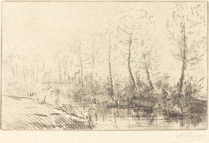 Birch Trees: Water