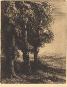 Corner of a Wood by Alphonse Legros
