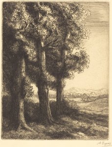 Corner of a Wood by Alphonse Legros