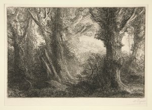 In the Forest of Conteville