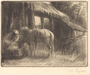 Drinking Trough, 2nd plate