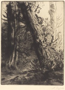 Edge of a Brook