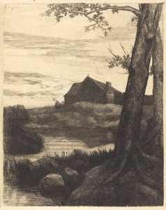 Farm with Large Tree