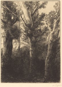 German Forest, Downley by Alphonse Legros