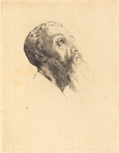 Head of a Model