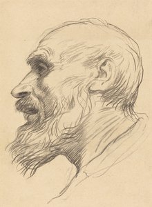 Head of an Old Man