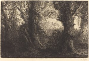 In the Forest of Conteville