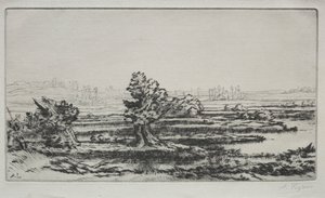 Landscape