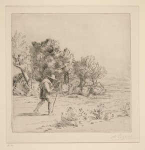 The Peddler