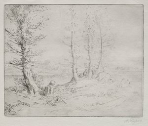 Along the Shore