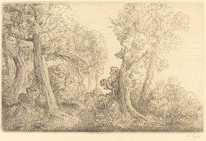 Near the Woods, Veronne