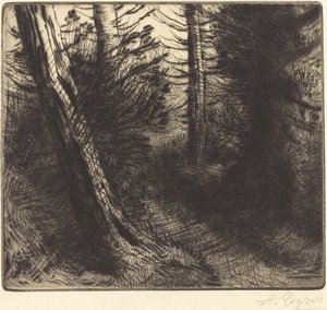 Path through the Woods