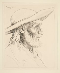 Breton Peasant