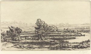 Peat-Bogs by Alphonse Legros