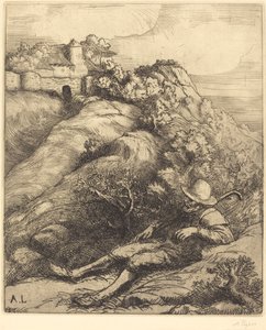 Sleeping Shepherd