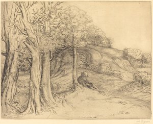 Solitude Landscape