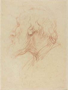Study of a Beggar