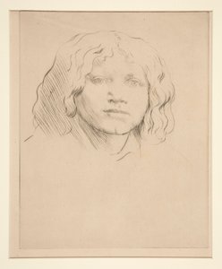 Head of