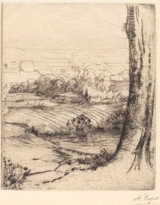 View of Reeds
